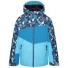 Dare 2b Childrens/Kids Humour II Floral Ski Jacket (River Blue/Fjord)