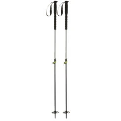 WEDZE ADJUSTABLE CROSS-COUNTRY SKI POLES - SKI MO