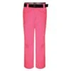 Dare 2b Womens/Ladies Free Scope II Ski Pants (Luminous Pink)
