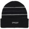 Oakley B1B Stripe Unisex Beanie