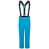 Dare 2b Childrens/Kids Motive Ski Pants (Fjord Blue)